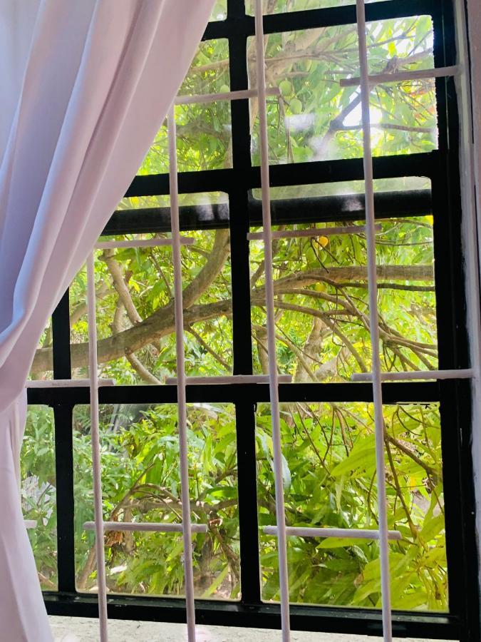 Ocean View Apartments Bridgetown Eksteriør bilde